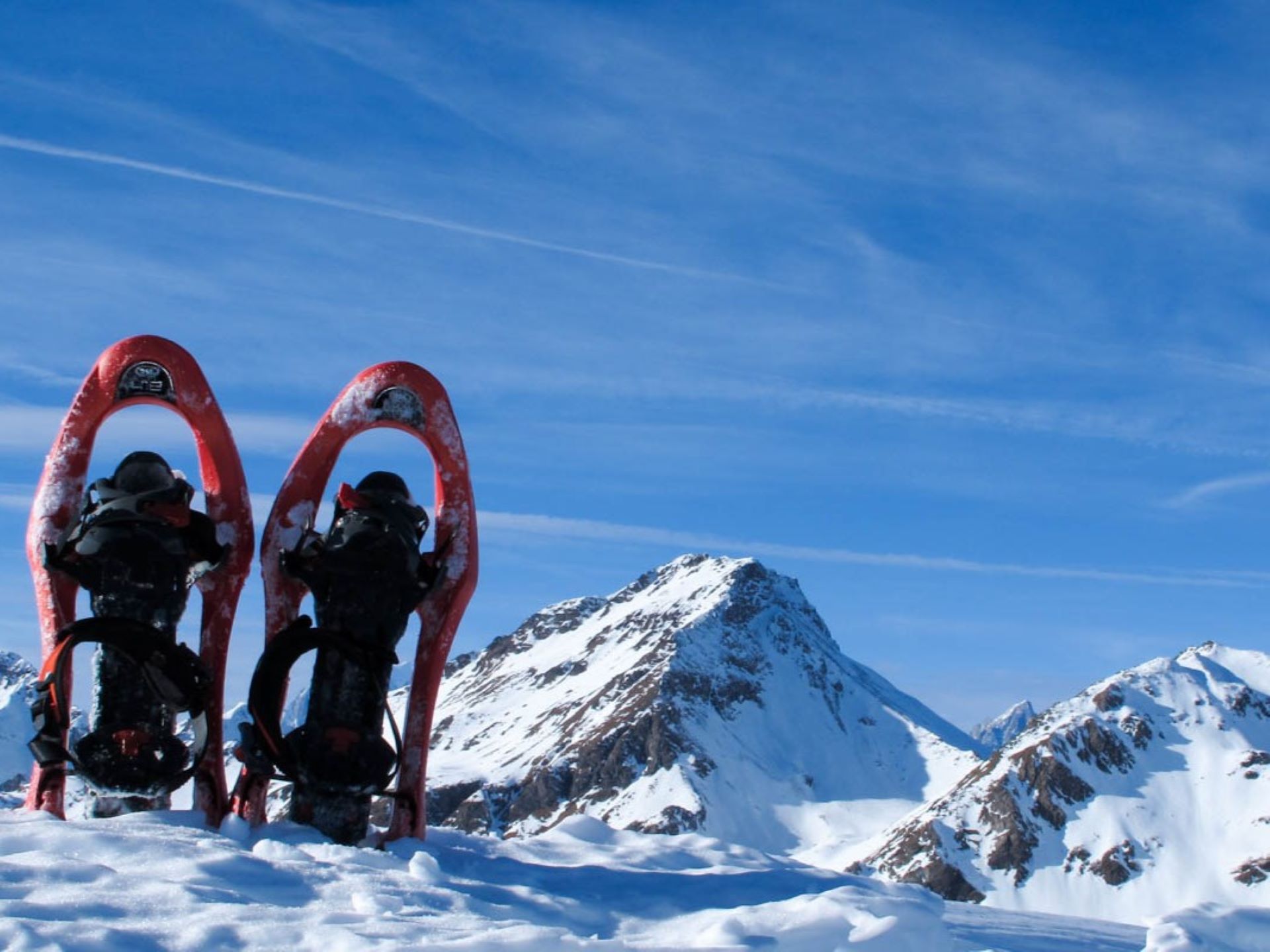 Guide Trek Alps