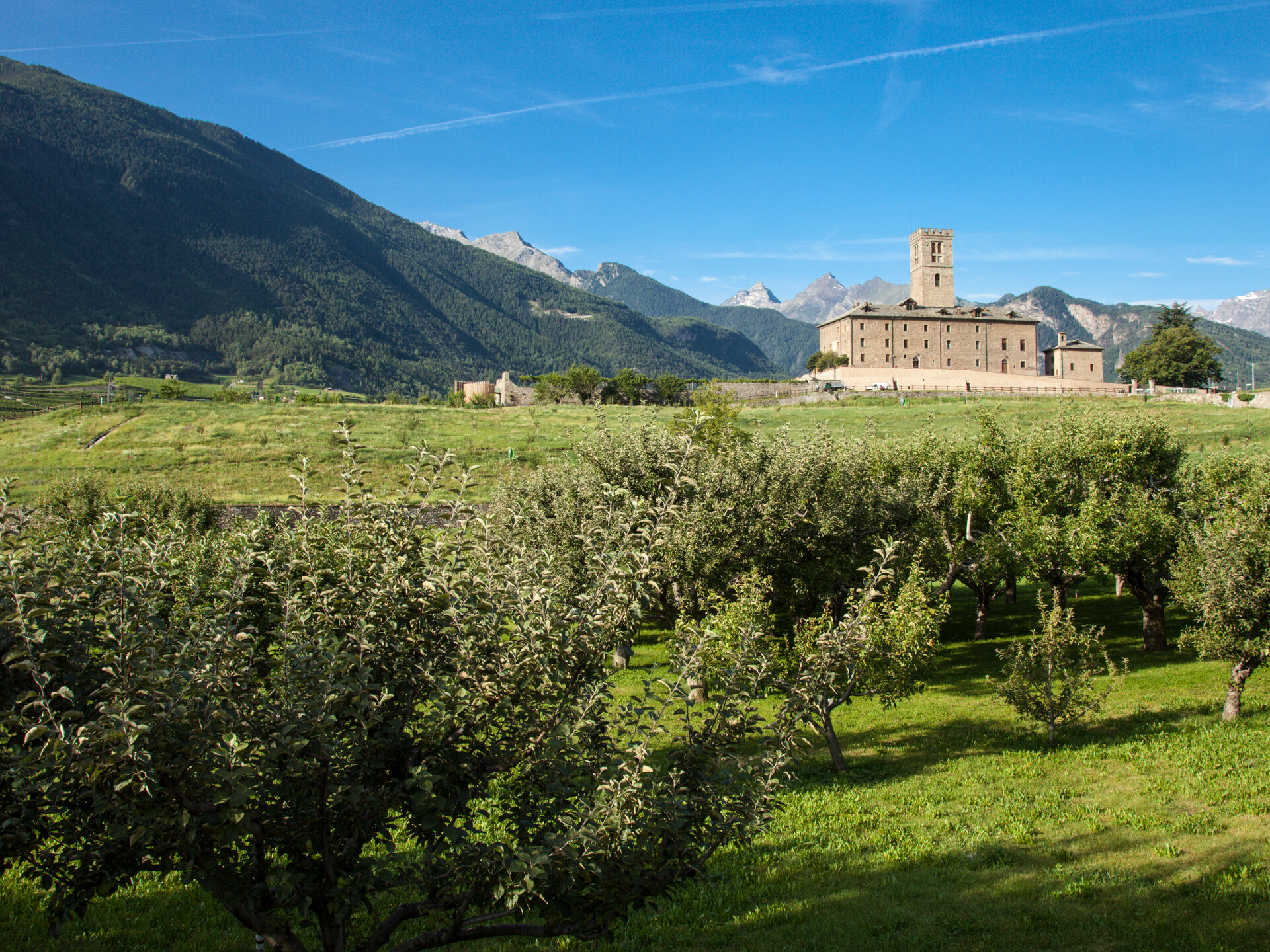 Apple orchards and, in the background, the castle of Sarre