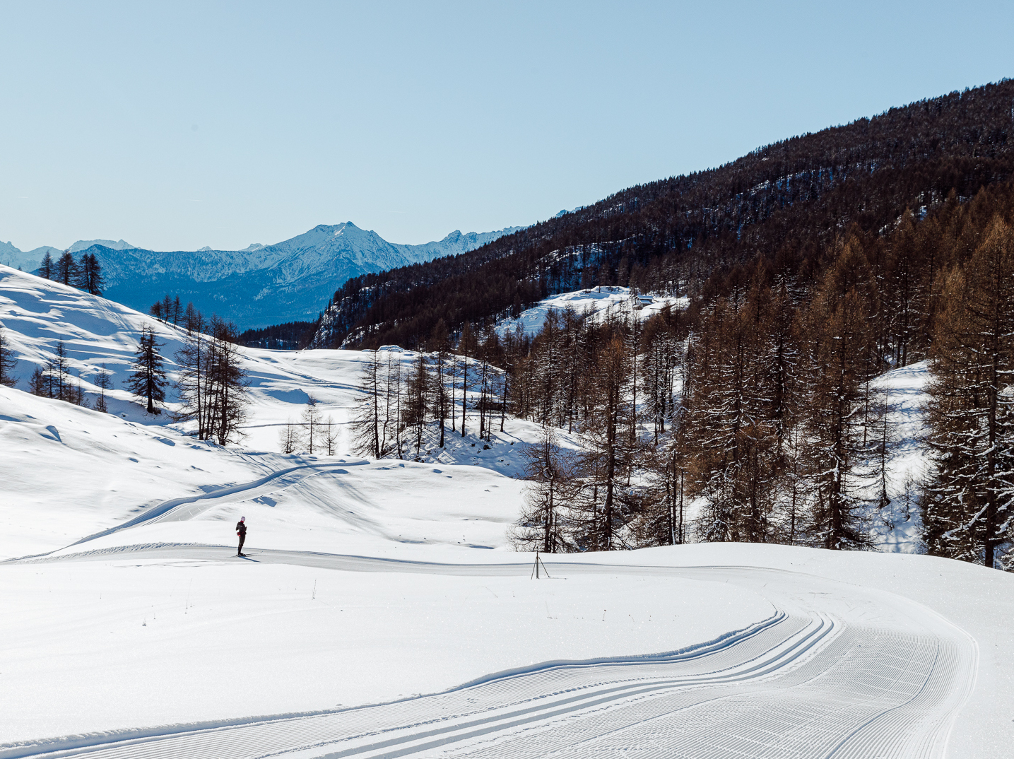 Piste di fondo di Torgnon