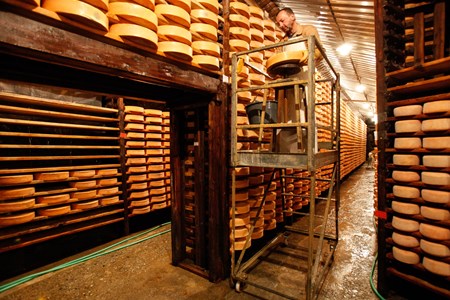 Almacén de curado de la Fontina