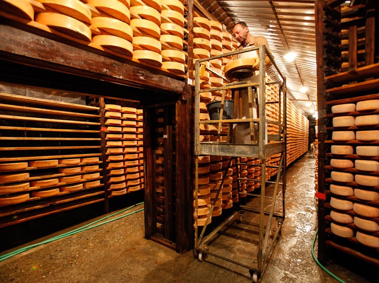 Reifungsraum der Fontina