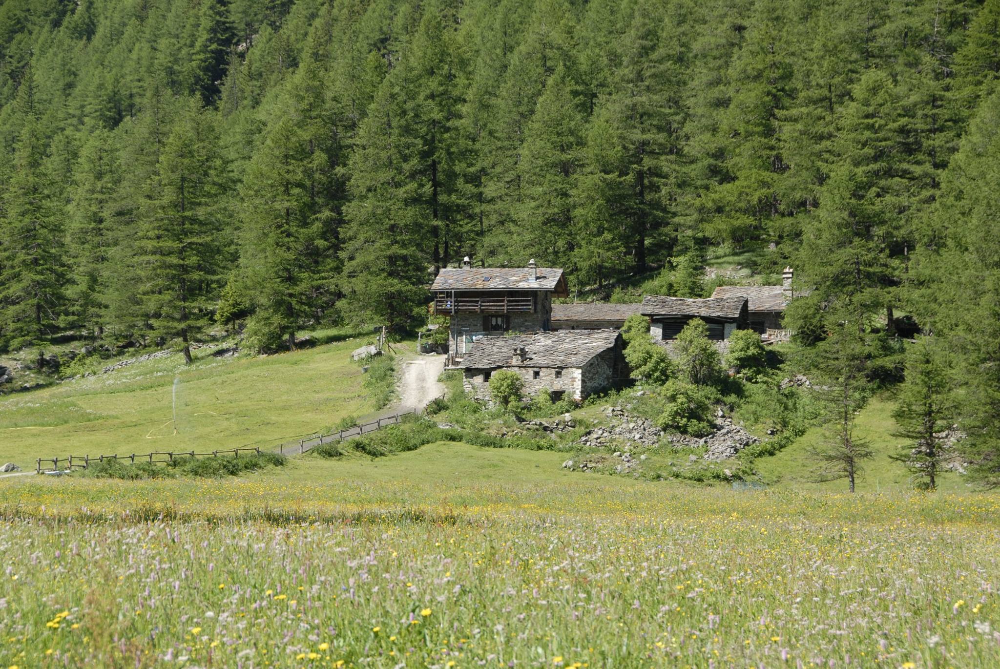 Der Landwirtschaftsbetrieb