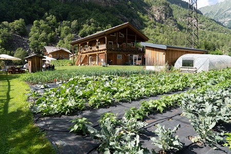 L'azienda e gli orti