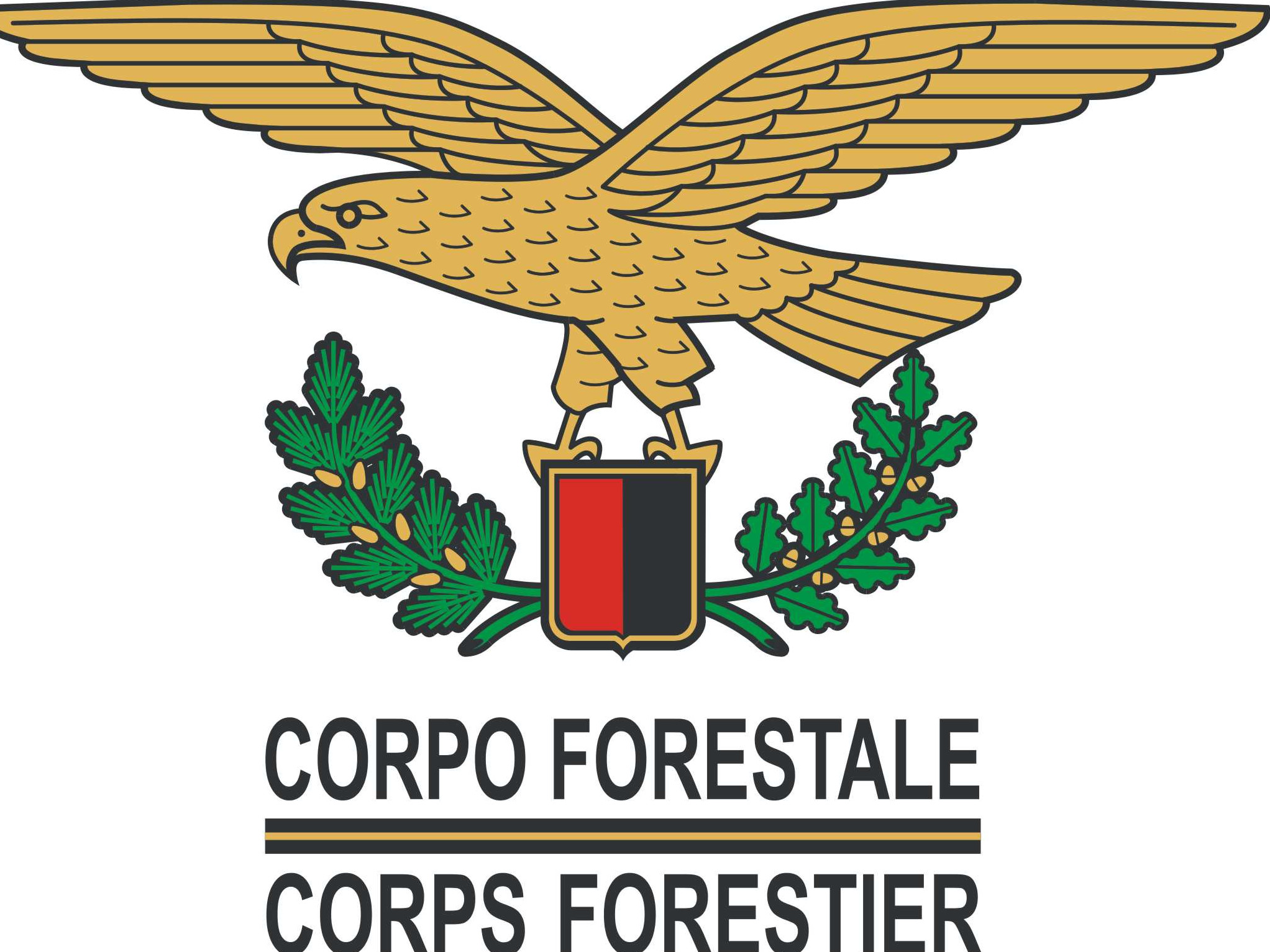 Corpo Forestale