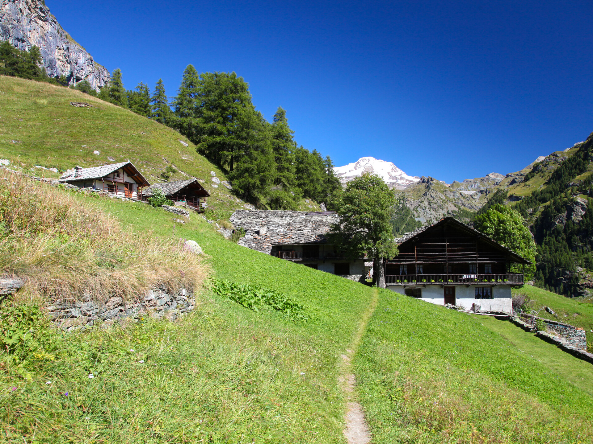 Alpenzu piccolo