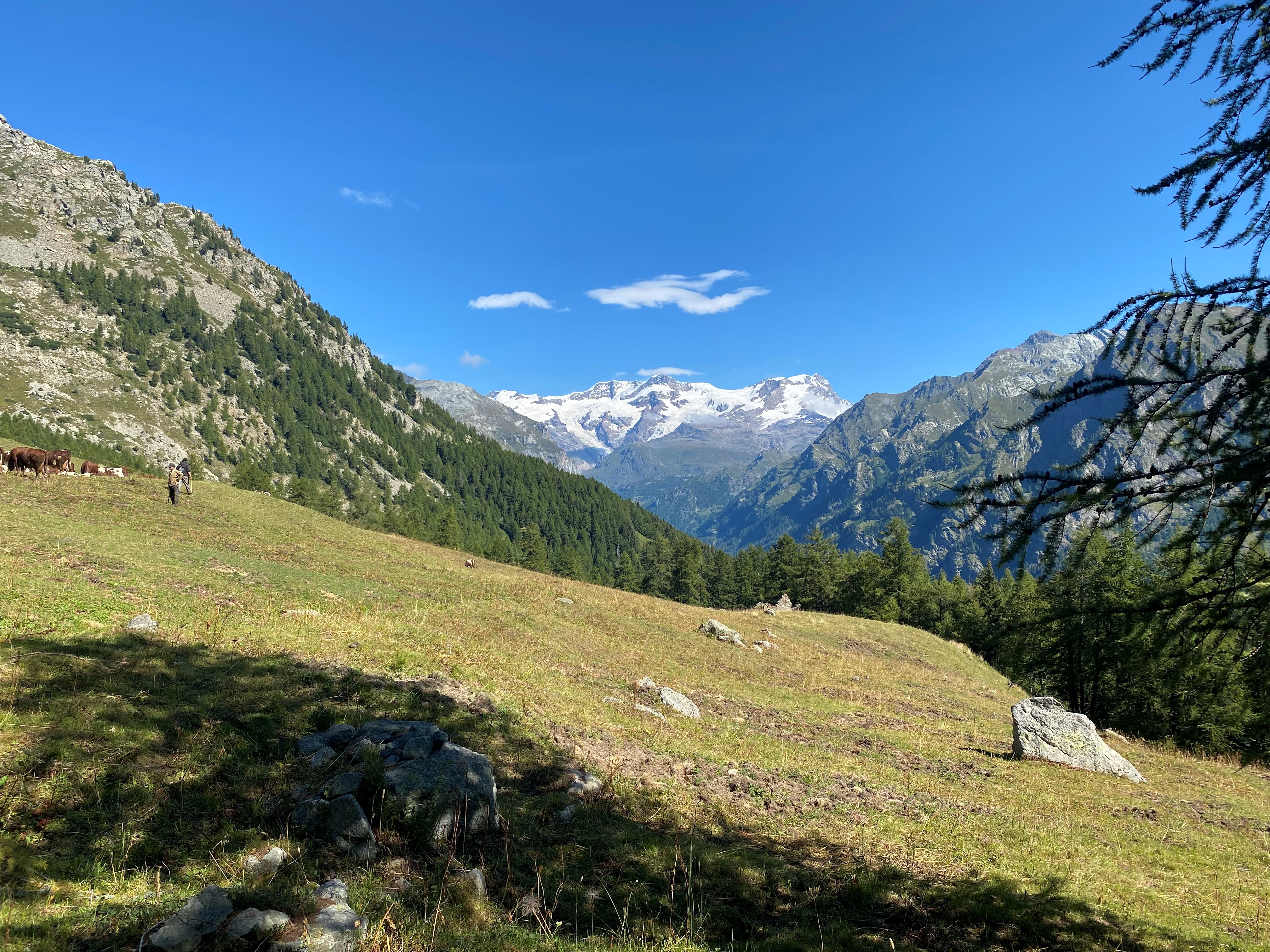 Vista sul Monte Rosa