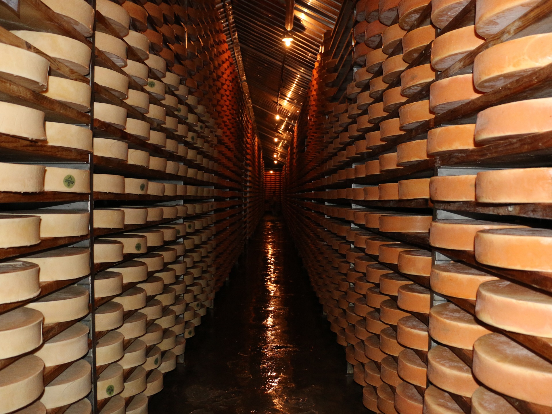 Magazzino Fontina