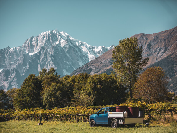 Morgex - vigneti e Monte Bianco