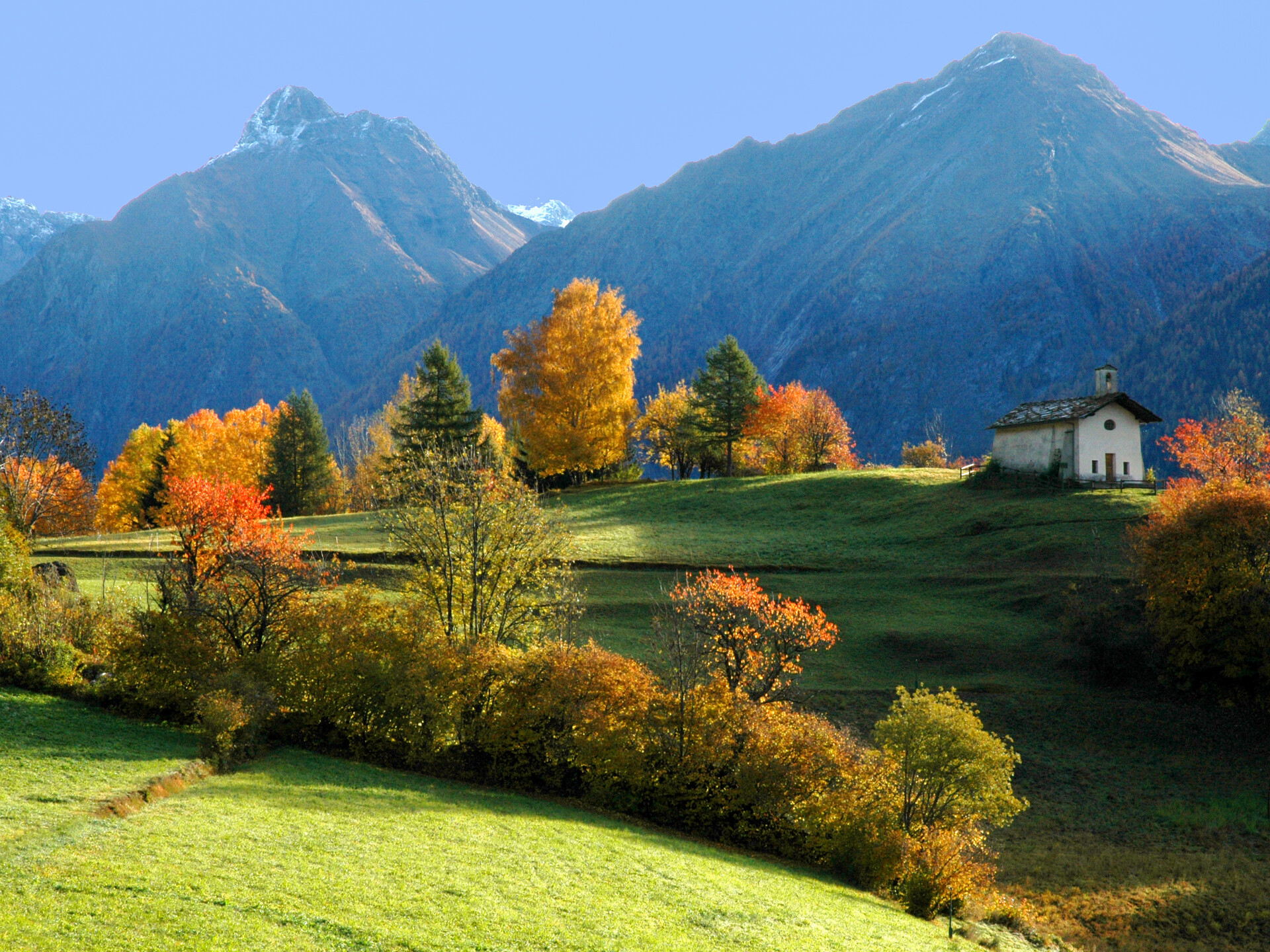Ottobre in Valle d'Aosta - Foliage