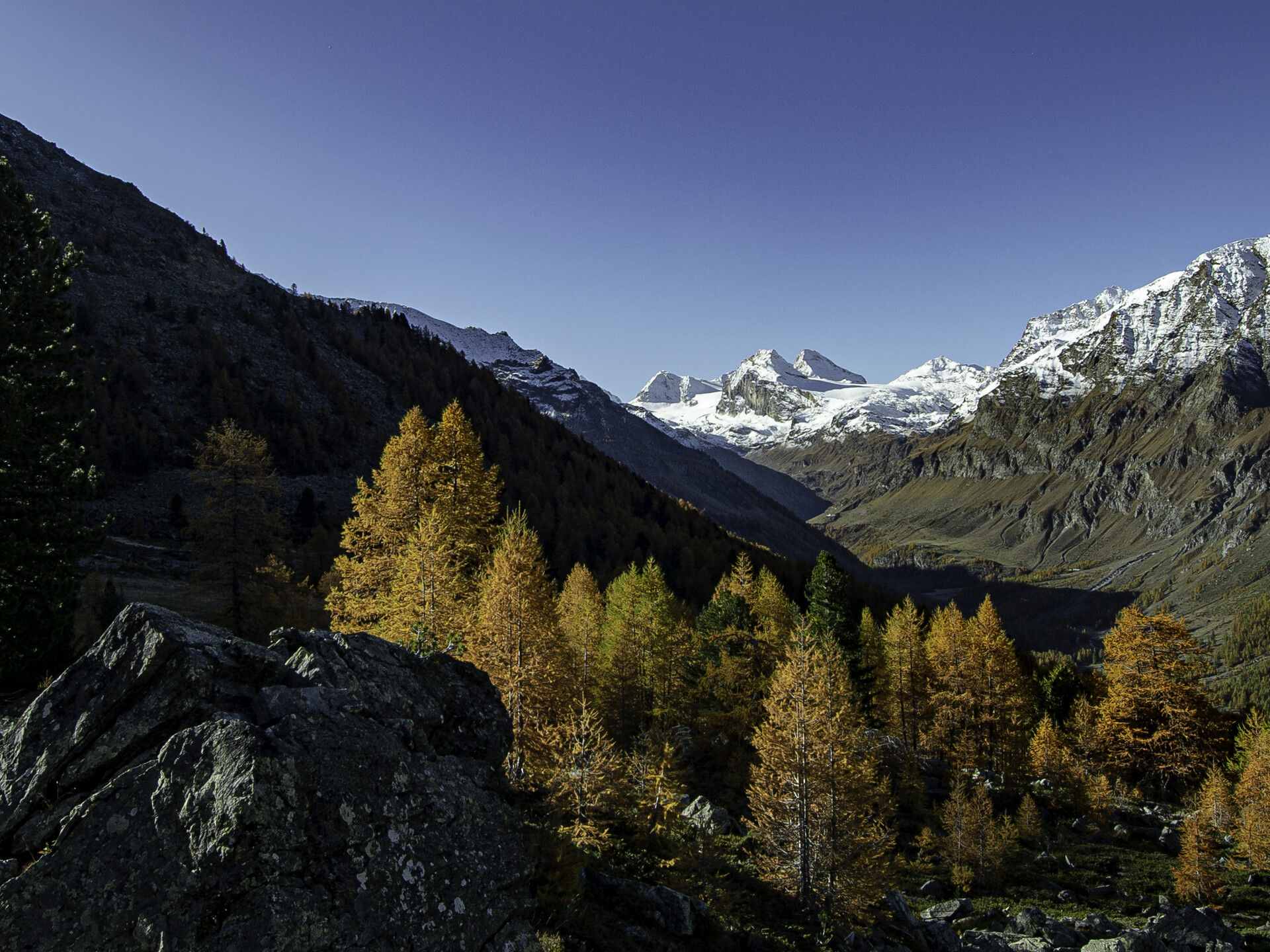 Foliage Valle di Rhemes 