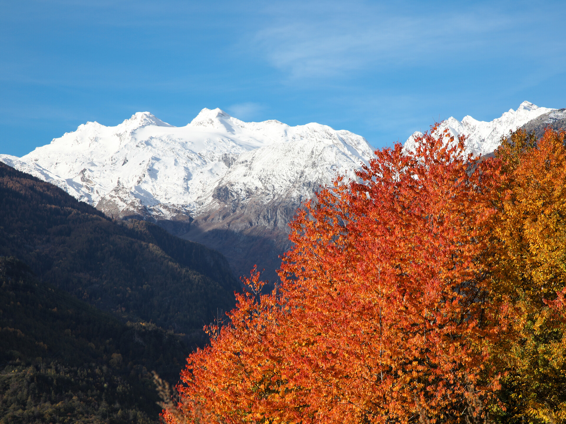 Rutor dalla Valgrisenche 