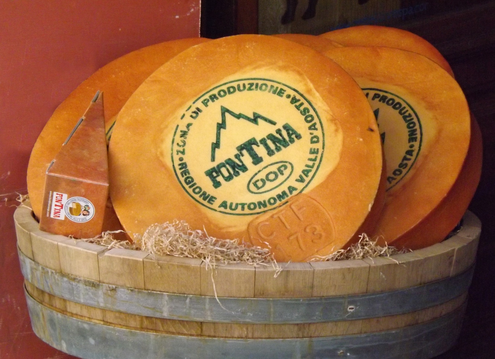 Fontina