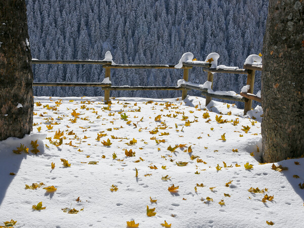 Novembre in Valle d'Aosta