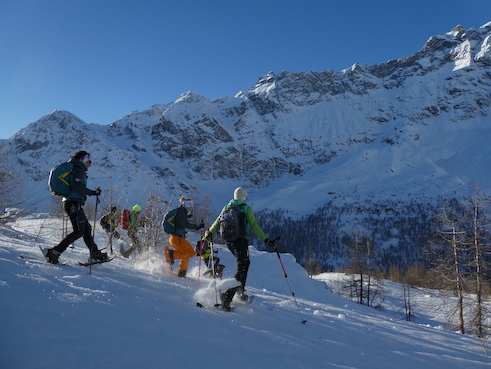 Escursione con guide Trek Alps 