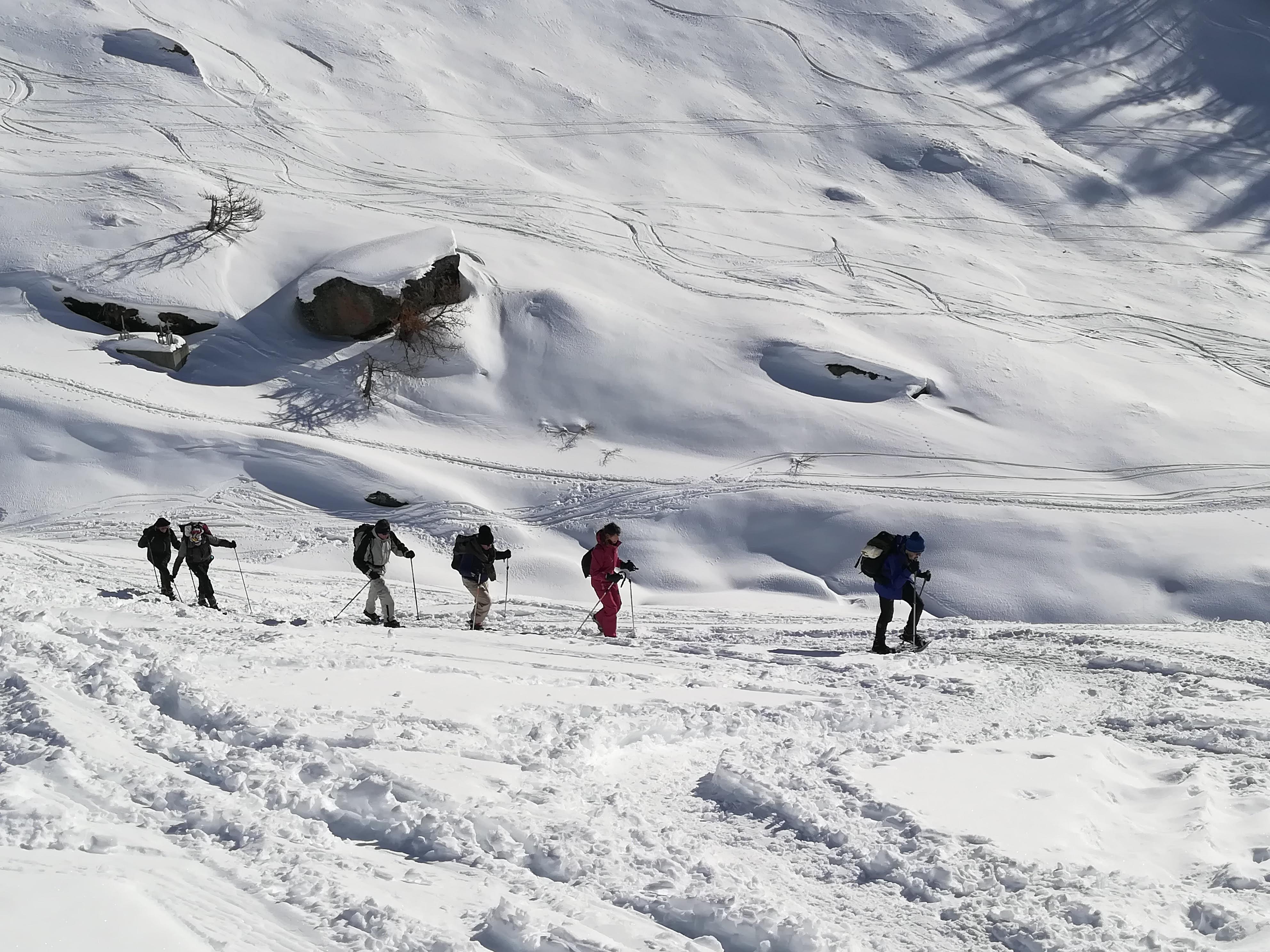 Gruppo di escursionisti sulla neve