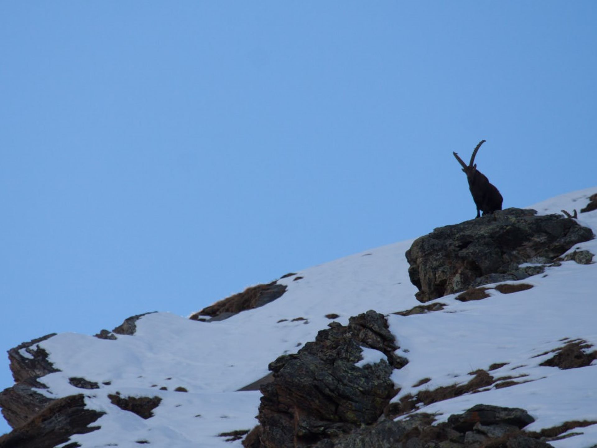 Guide Trek Alps