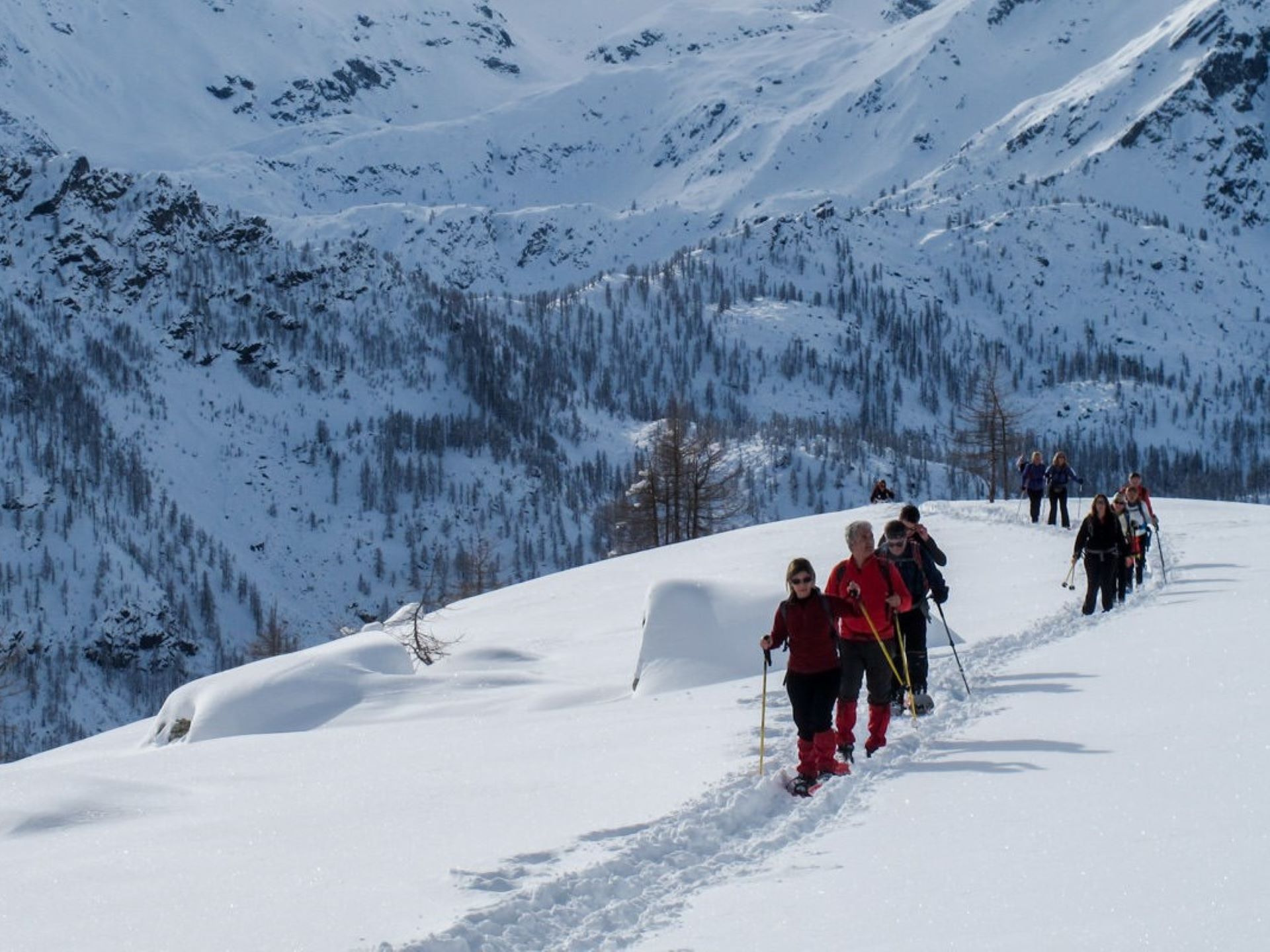 Nel bosco in ciaspole