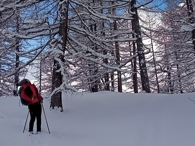 Bosco e ciaspole