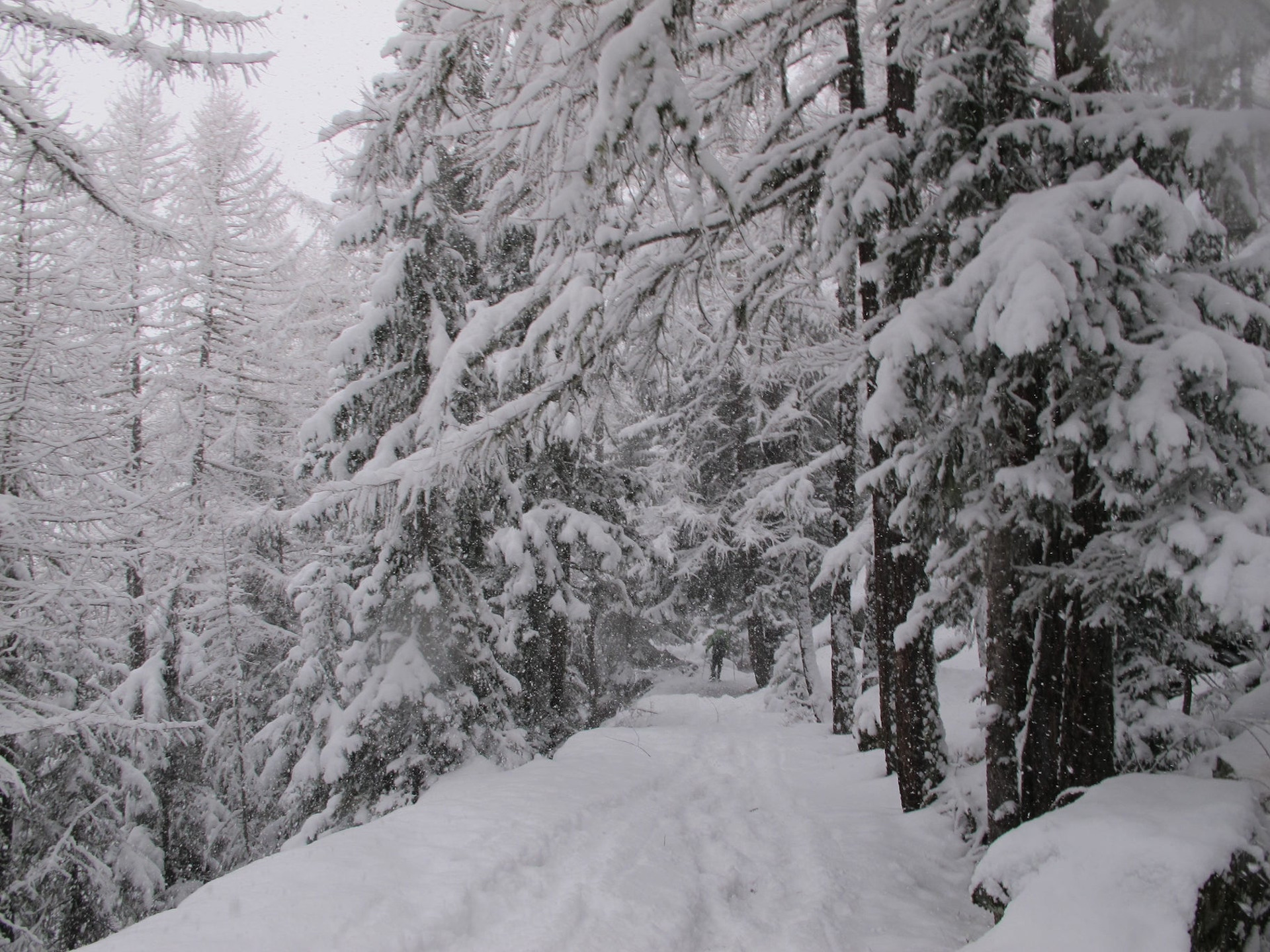 Sentiero innevato