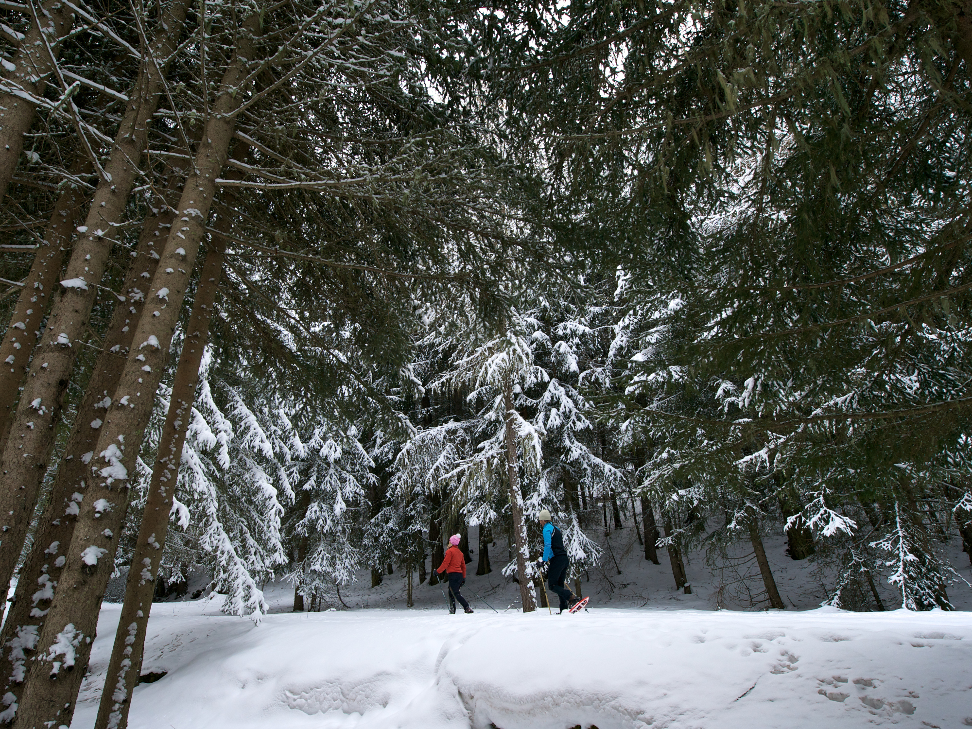 Racchette da neve