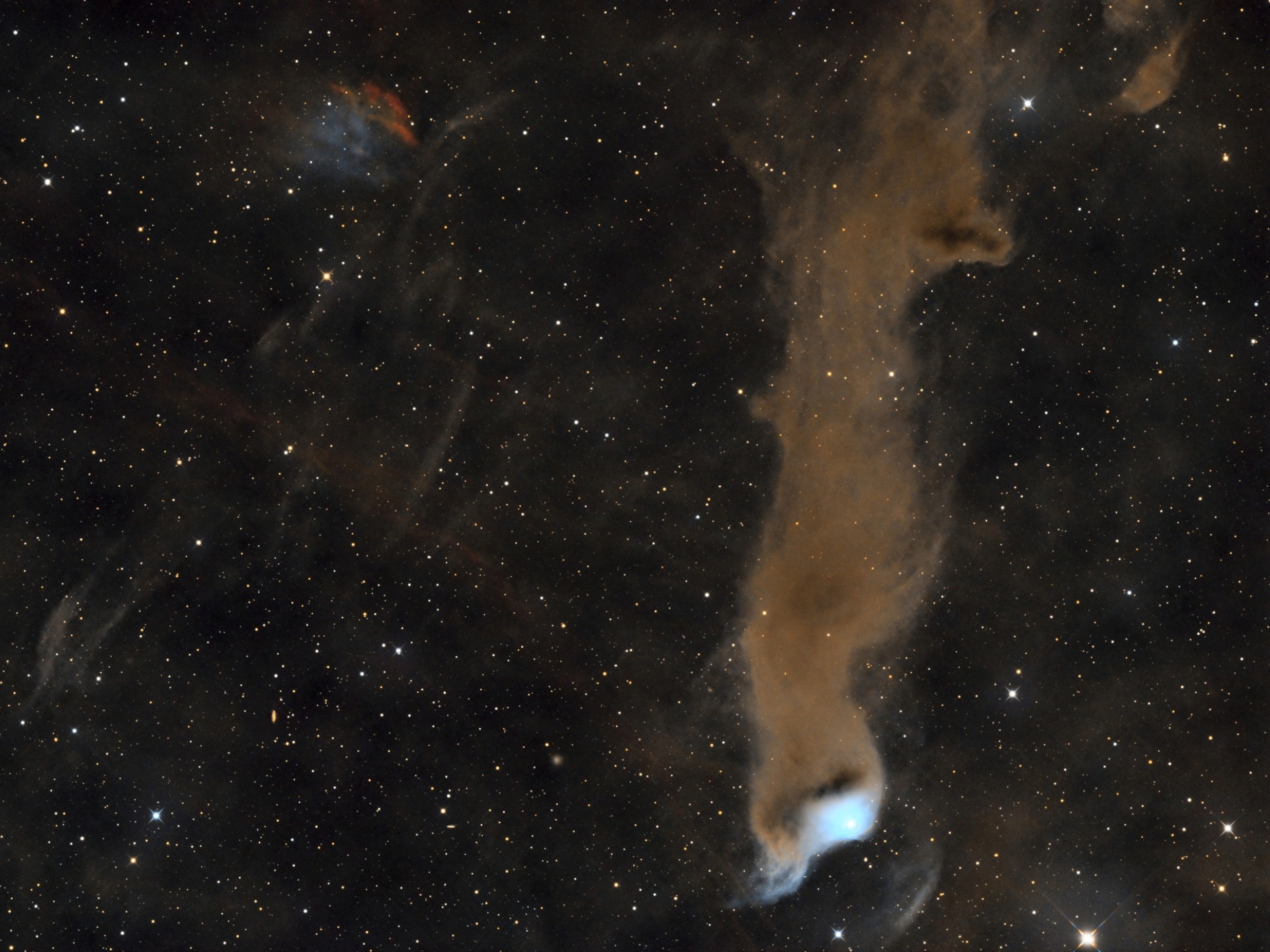 nebulosa LDN 1355