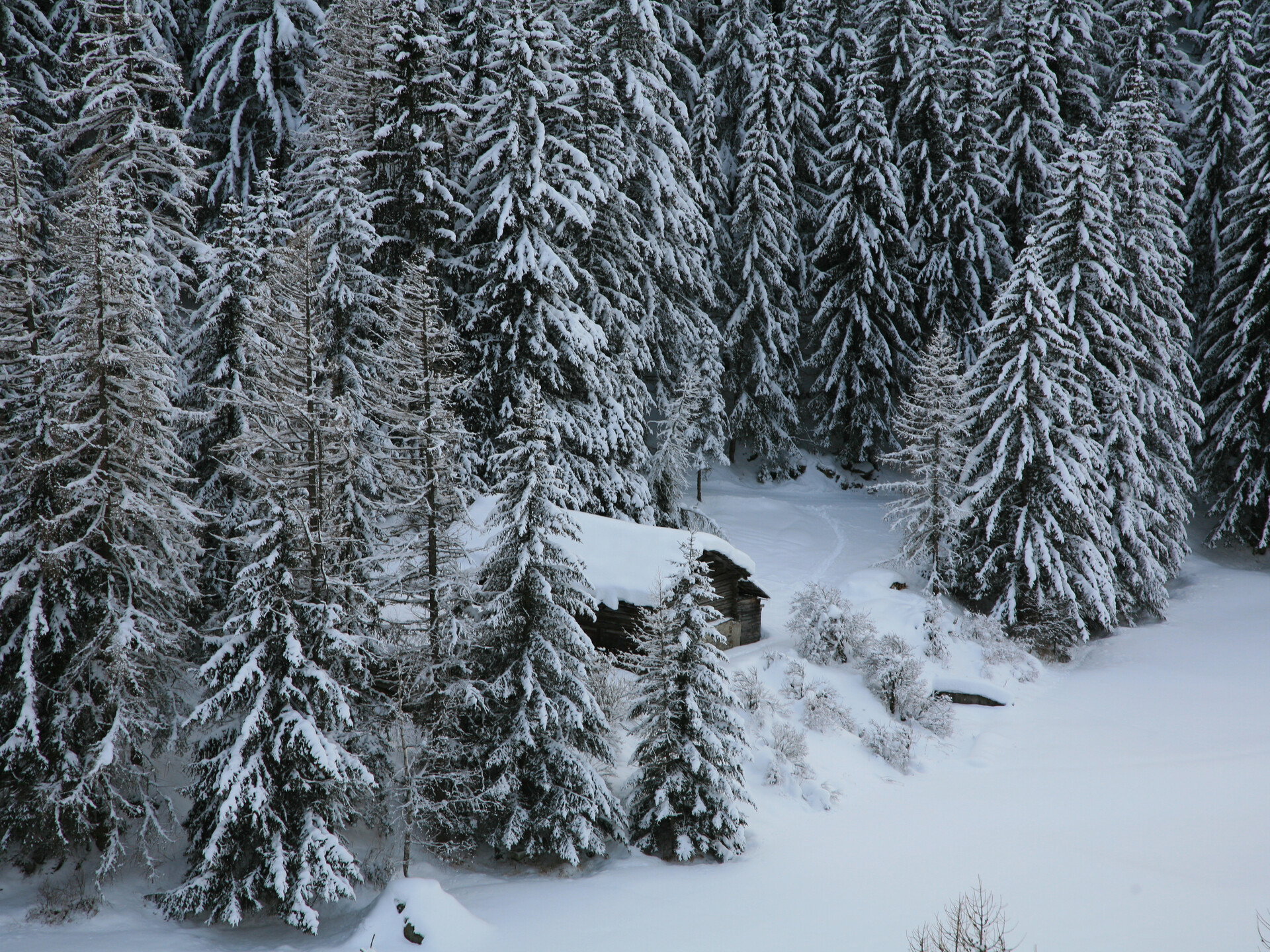 Cogne innevata