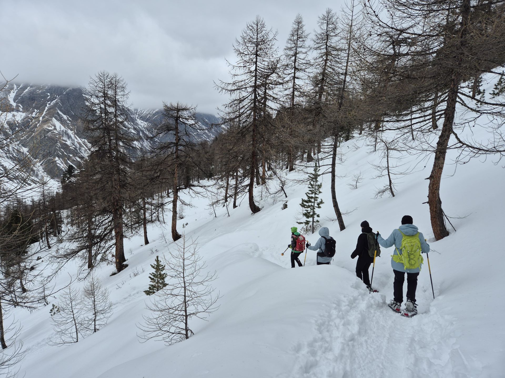 Ciaspolate - Guide Trek Alps