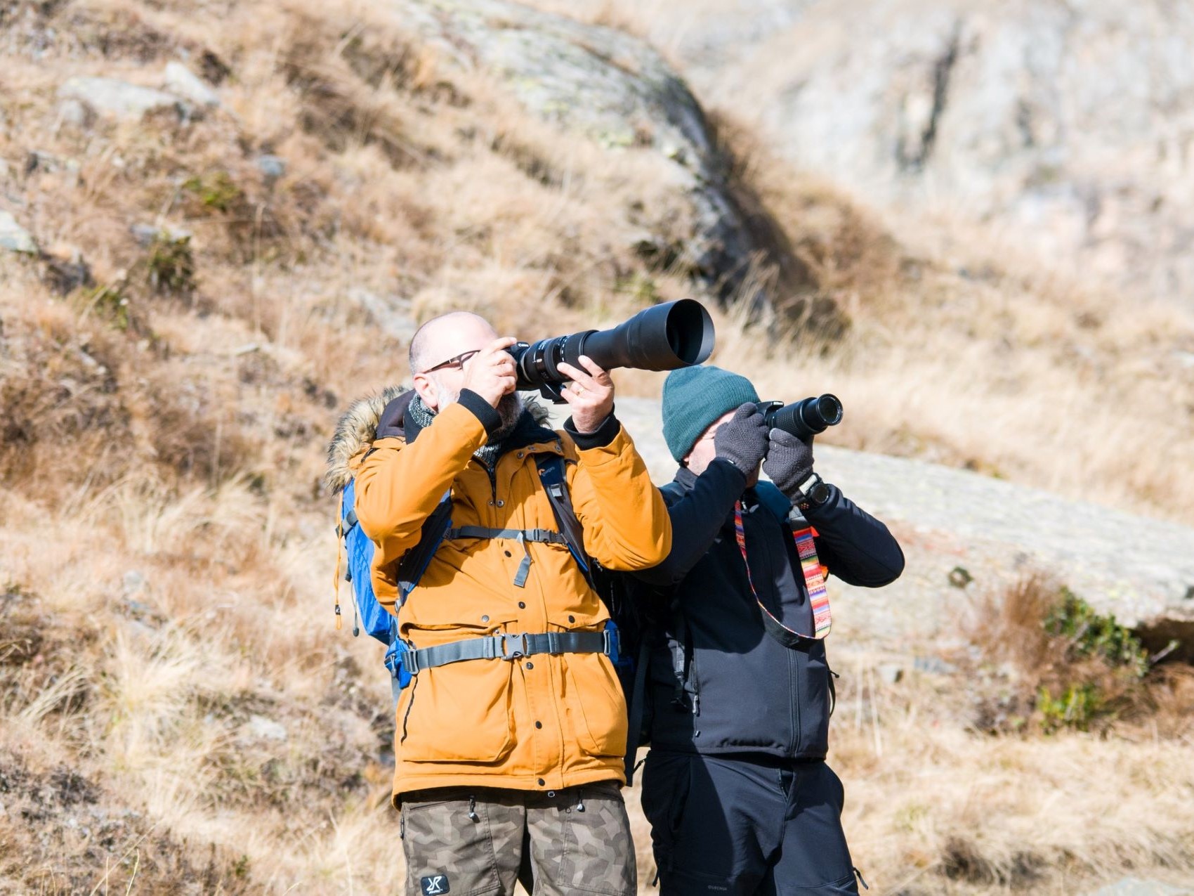 Fotografia - Guide Trek Alps