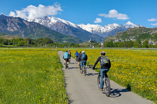 Guide Trek Alps