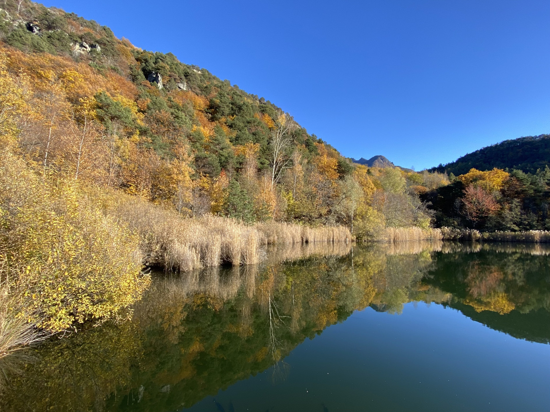 Vegetazione Lago di Villa