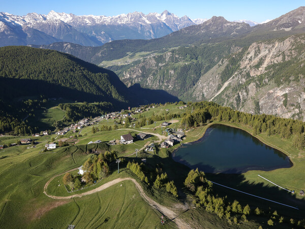 Chamois