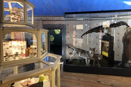 Museo Scienze Naturali