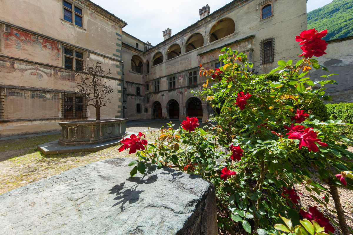 Fiori e sapori di primavera