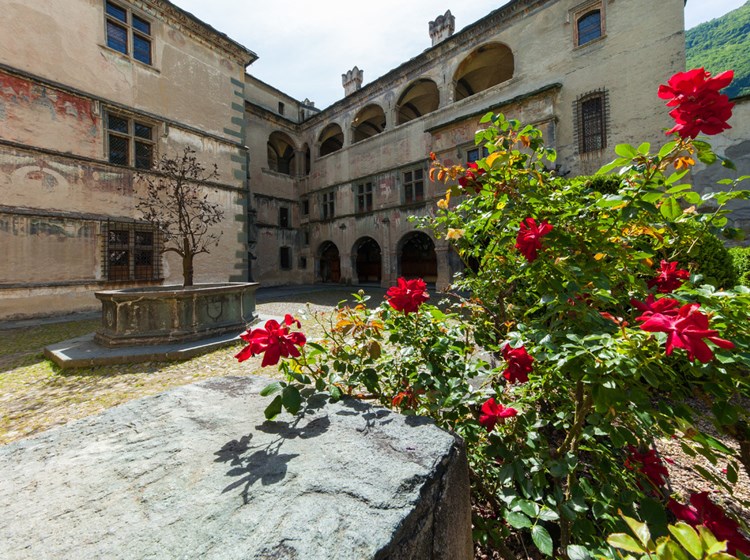 Fiori e sapori di primavera