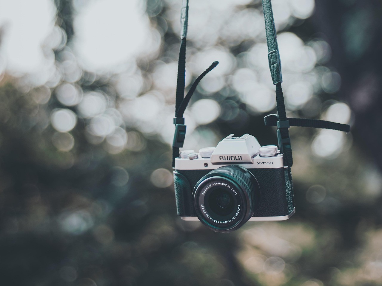 forocamera