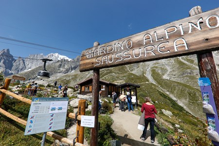 Jardin botanique alpin Saussurea