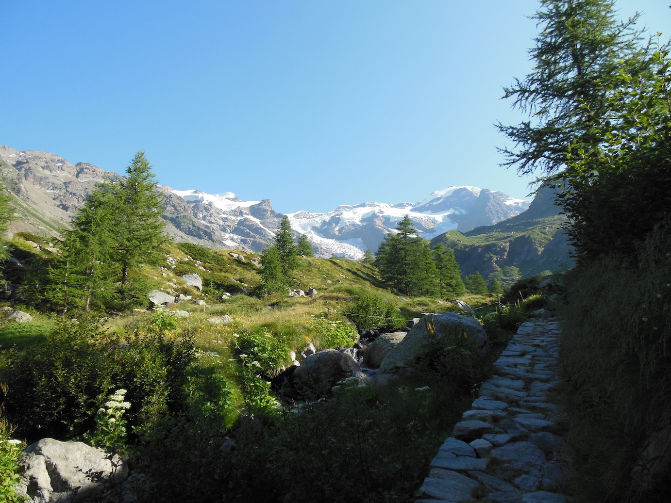 Monterosa