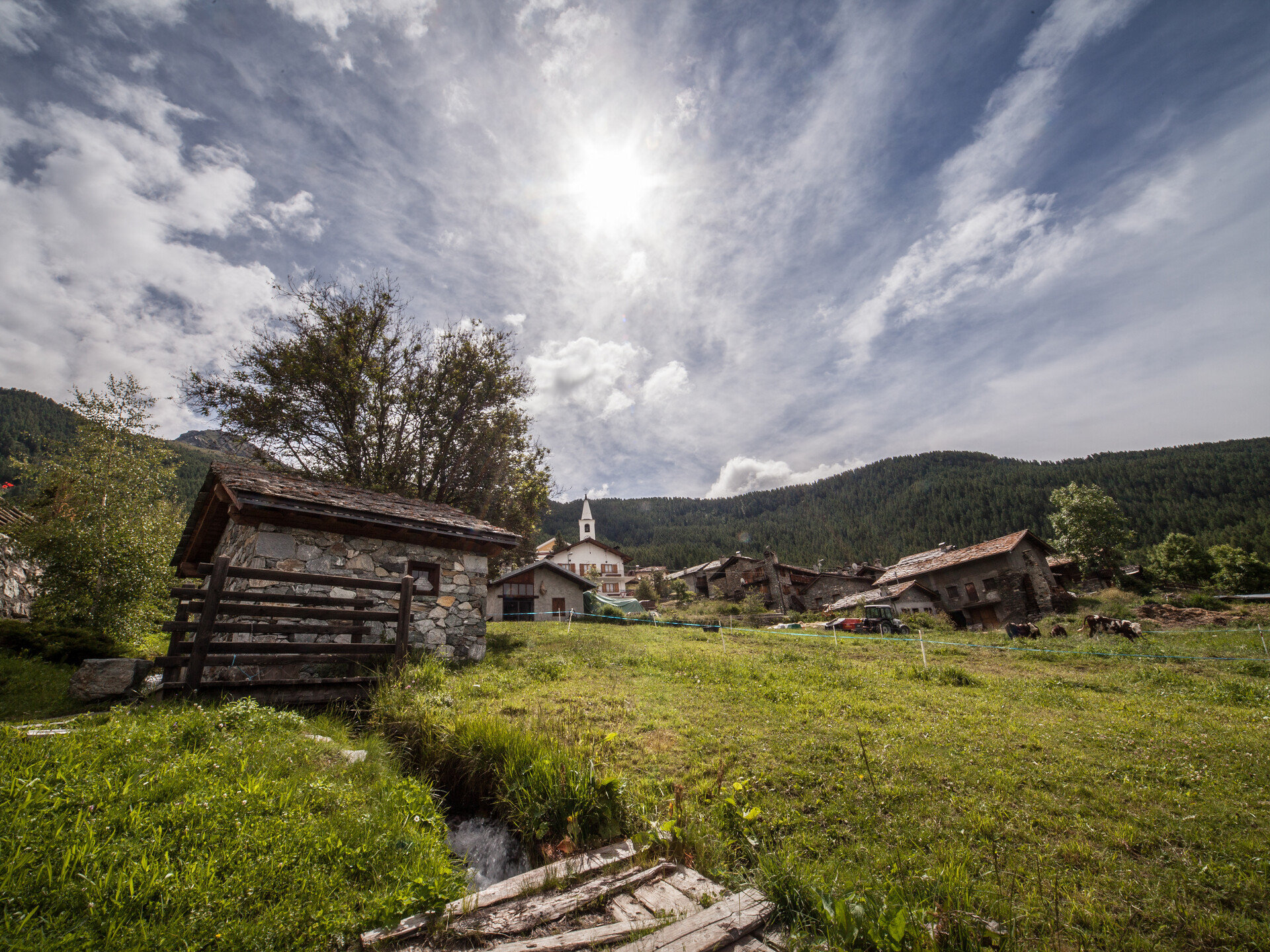 Vista