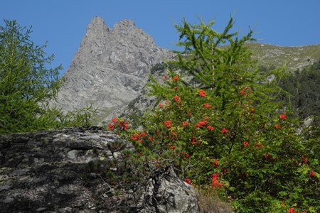Mont Avic