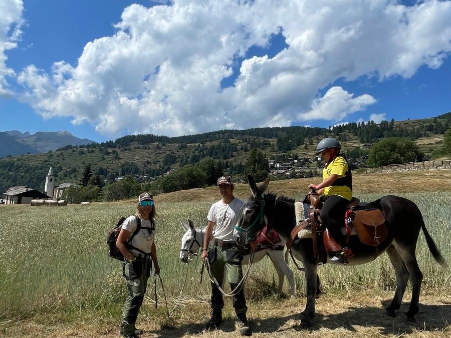 Trekking con gli asinelli