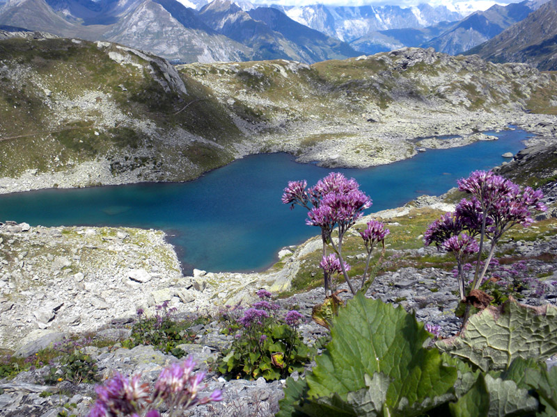 Bellecombe lake