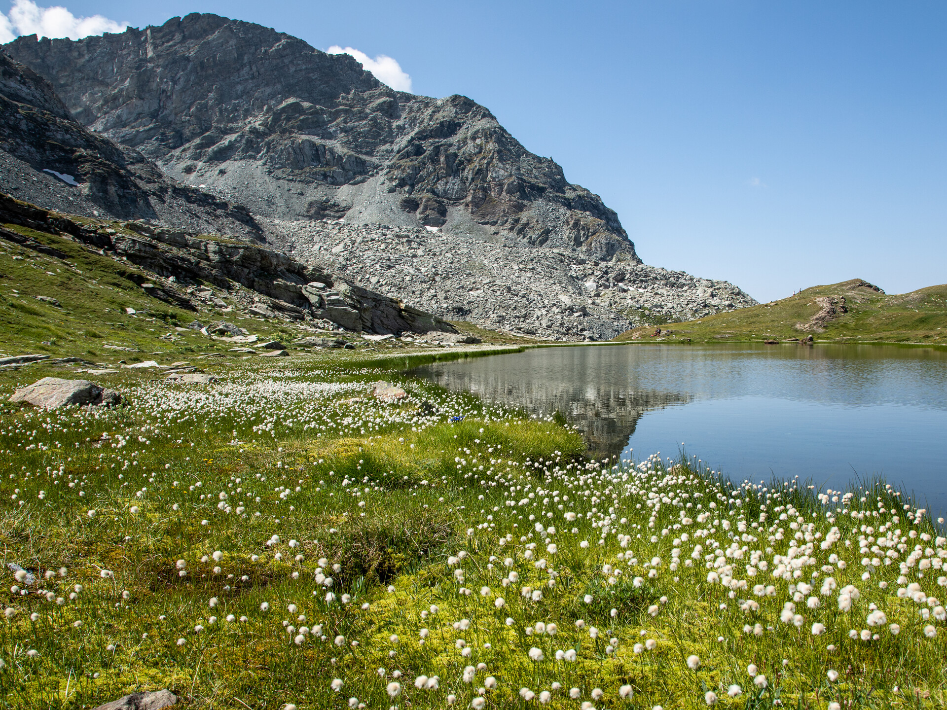 
Alta Via 1 - Laghi Pinter - Ayas
