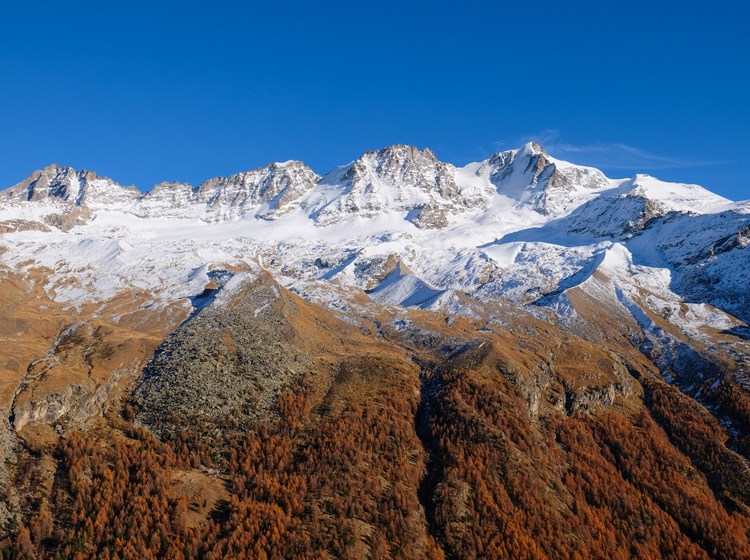 Catena del Gran Paradiso da Pian Borgnoz