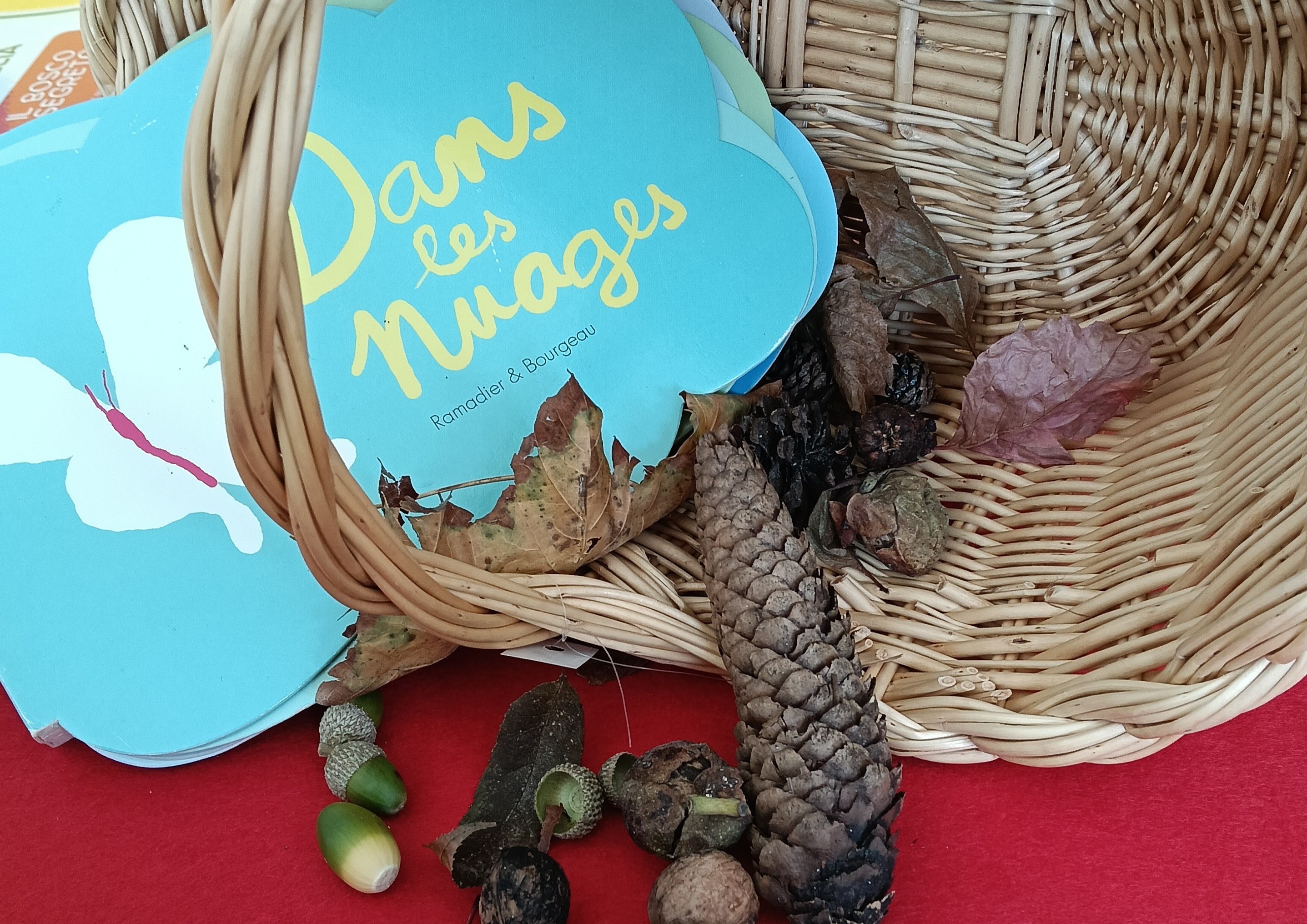 cestino delle meraviglie2