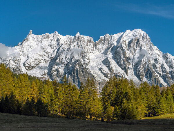 La catena del Monte Bianco vista da Petosan