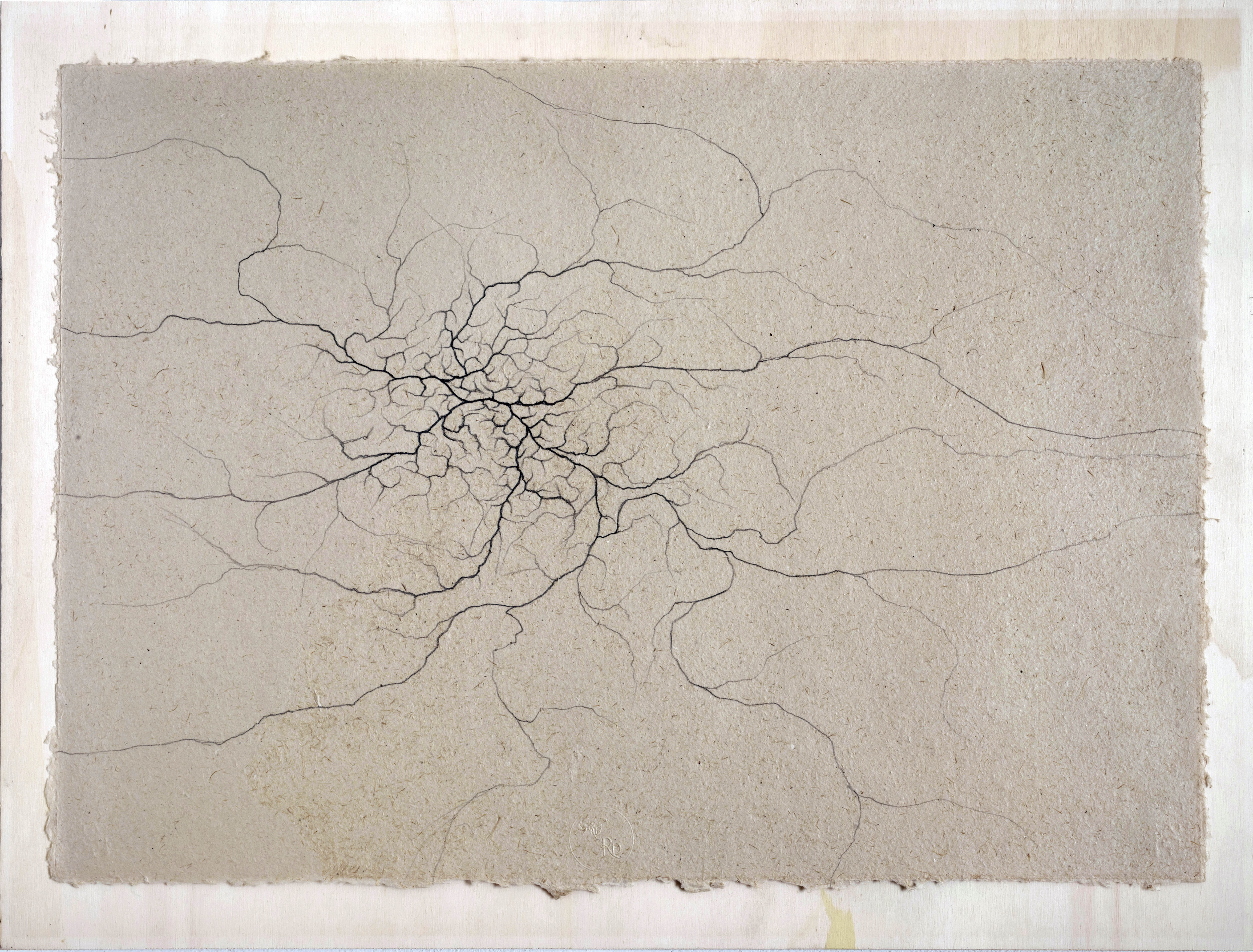 “Grounds drawing” 2023, grafite su carta, cm. 50x70