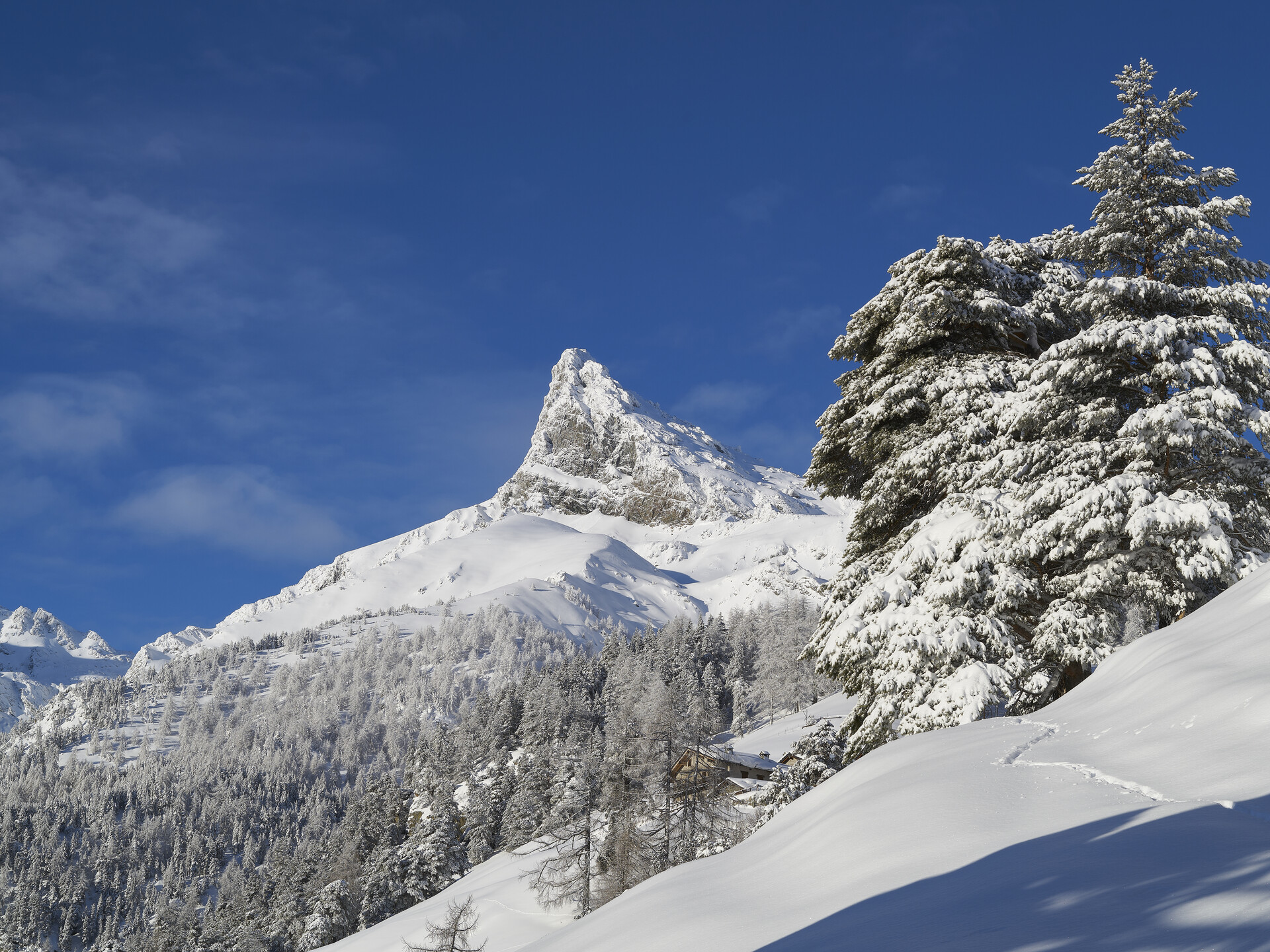 Salendo con le ciaspole 