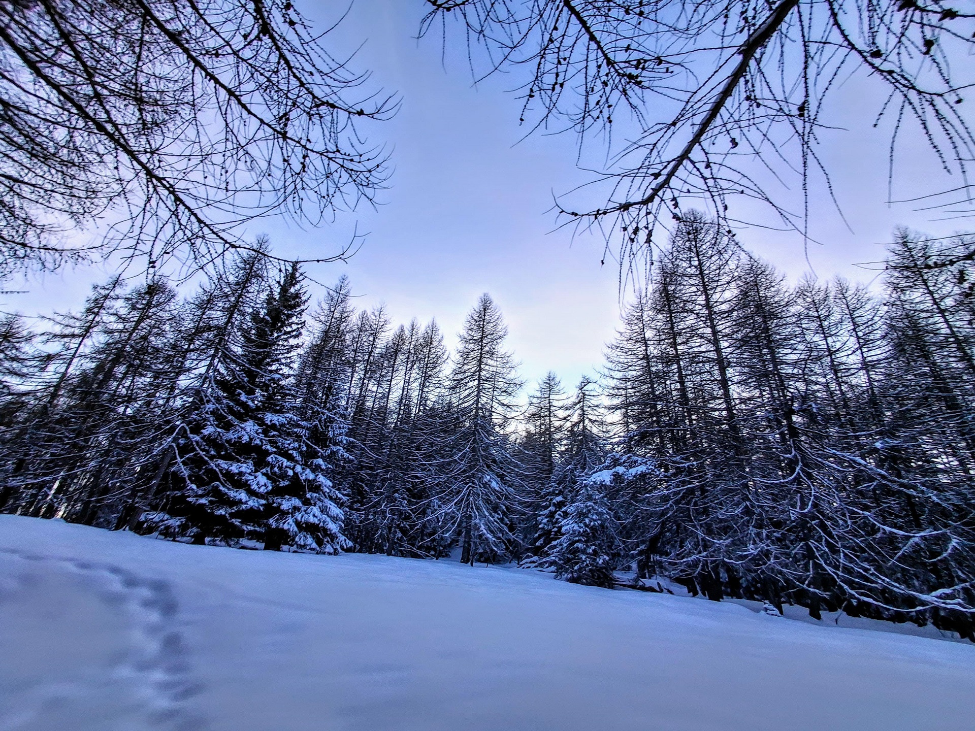 Raquettes au coucher du soleil dans le Val d'Ayas