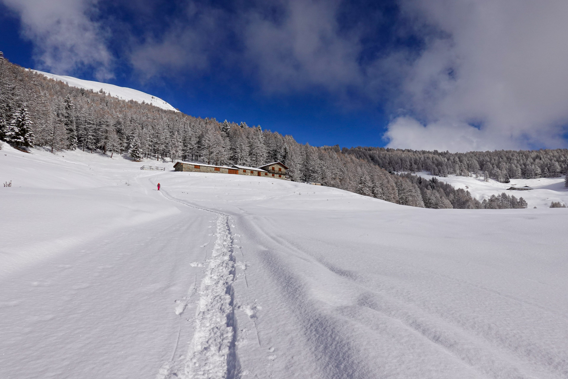 
Tsa de Fontaney - Nus