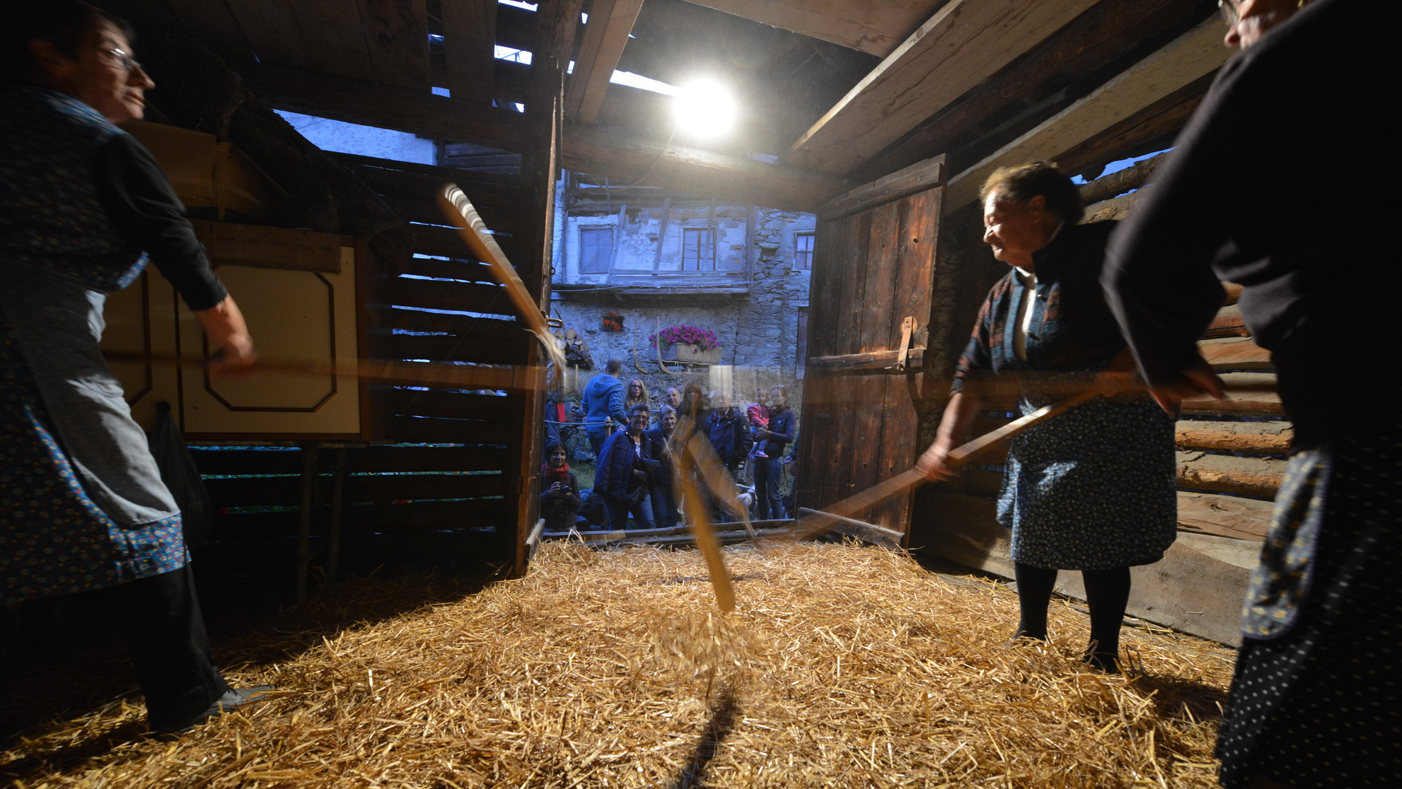Battitura del grano